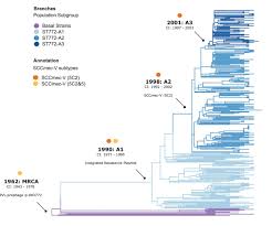 Evolution And Global Transmission Of A Multidrug Resistant