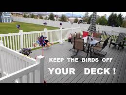 Keep Birds Off The Deck Railing