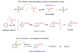 Sulfonation Of Benzene Electrophilic Aromatic Substitution