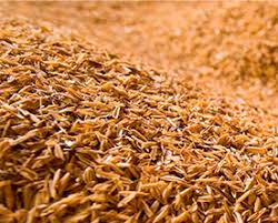Husk (or hull) in botany is the outer shell or coating of a seed. Rice Husk A Useful By Product For Rice Growing Countries Myanmar Insider
