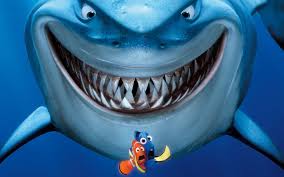 Image result for finding nemo