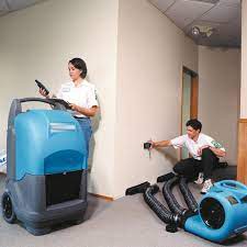 turbo carpet dryer purple hire solutions