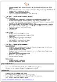 Chartered accountant resume template   free word pdf documents business tax  planning charted resume VisualCV