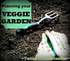 Vegetable Garden Planning Made Easy