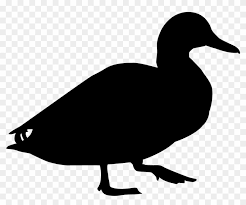 Duck transparent png, white, black and other varieties of. Duck Black And White Hd Png Download 1024x1024 1019229 Pngfind