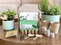 Buy Fleur Du Bien Indoor Herb Garden