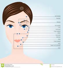 Acupuncture Points On Face Stock Illustration Illustration