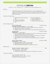 Elementary Teacher Resume Template Beautiful Resume Format For