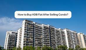 can a private owner an hdb flat