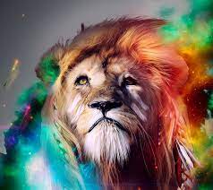 color cool lions hd wallpaper peakpx