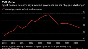 Egypt Gets $3 Billion IMF Loan to Support Struggling Economy - BNN Bloomberg