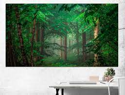 Forest Canvas Art Canvas Wall Art