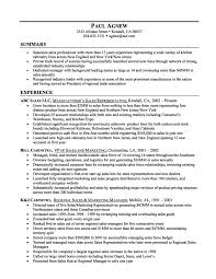 Strategy Consultant Resume Page  