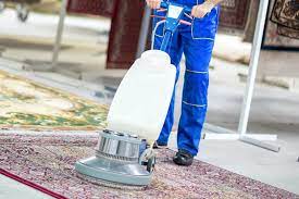 carpet upholstery cleaning nzrs