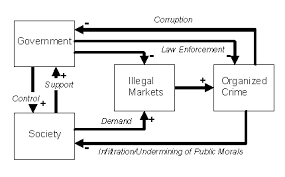The Use Of Models In The Study Of Organized Crime