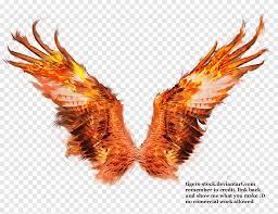 fire wings sacramento phoenix firebird