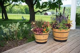 Pots And Planters