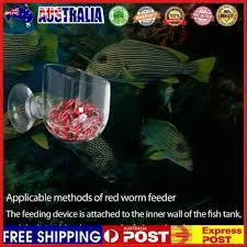 Hang Transpa Acrylic Red Worm Cup