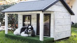 All pet paradise locations are united in our commitment to offering fun, clean and safe dog and cat boarding facilities, dog grooming services, veterinary care and doggy day camps. How Much Does Dog Boarding Cost In Home Boarding Vs Kennel More