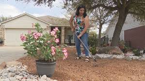 Xeriscaping Grows In Popularity As