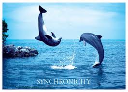 Image result for synchronicity