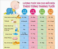 metronconvuong.vn: Tập cho bé ăn dặm từ 5 tháng tuổi theo & ngồi ghế rung