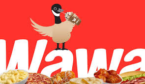 the 17 wawa foods that matter ranked