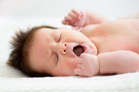 Newborn Sleep Schedules What To Expect