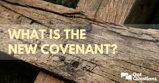 Image result for the new covenant for israel and the world