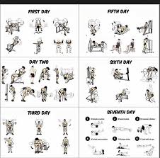Pin By Sarah Moursy On Fitness Gym Workout For Beginners