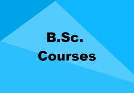 list of b sc courses after 12th