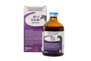 vitamin b complex injection s