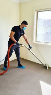 best carpet cleaning services in sydney