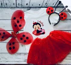 ladybug outfit for a lady bug birthday