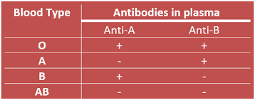 Blood Type Antigens And Antibodies Chart Inspirational The