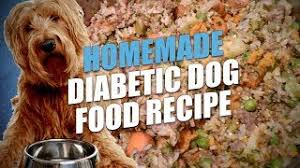 homemade diabetic dog food recipe