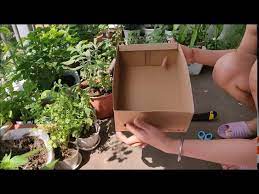 garden planter from cardboard box