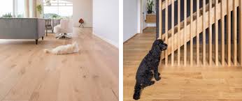 engineered wood flooring in homes with pets