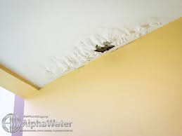 waterproofing roof leaking repair