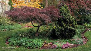 Designing With Japanese Maples Garden