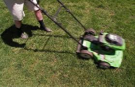 covering lawn seed with straw