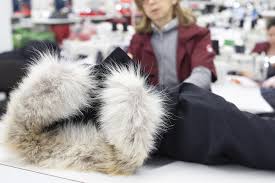 canada goose goos stock having worst