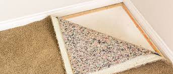 prevent carpet mold after flooding