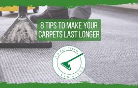 use woolite carpet and upholstery cleaner