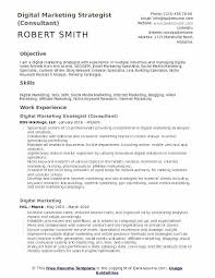 Digital Marketing Coordinator Resume Job Requirements Examples