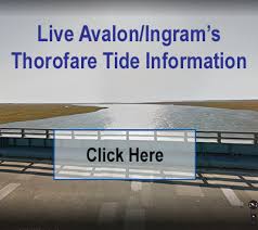 Tide Chart Avalon Nj 2019 Best Picture Of Chart Anyimage Org