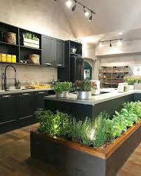 Herb Garden In Kitchen