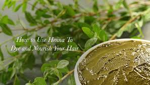 use henna to dye and nourish your hair