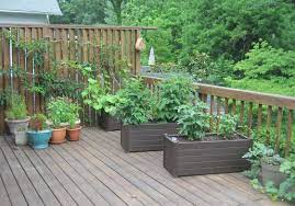 Containers And Up Trellises