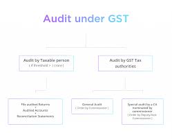Gst Procedure For Audit Assessment Ruling Recovery